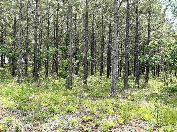 3.14 Acres of Residential Land for Sale in Sheridan, Arkansas