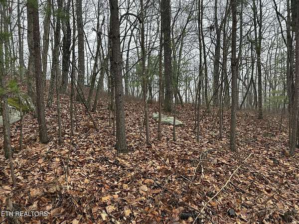 0.49 Acres of Residential Land for Sale in Fairfield Glade, Tennessee