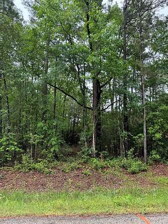 0.97 Acres of Land for Sale in San Augustine, Texas
