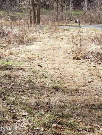 1 Acre of Residential Land for Sale in Flag Pond, Tennessee