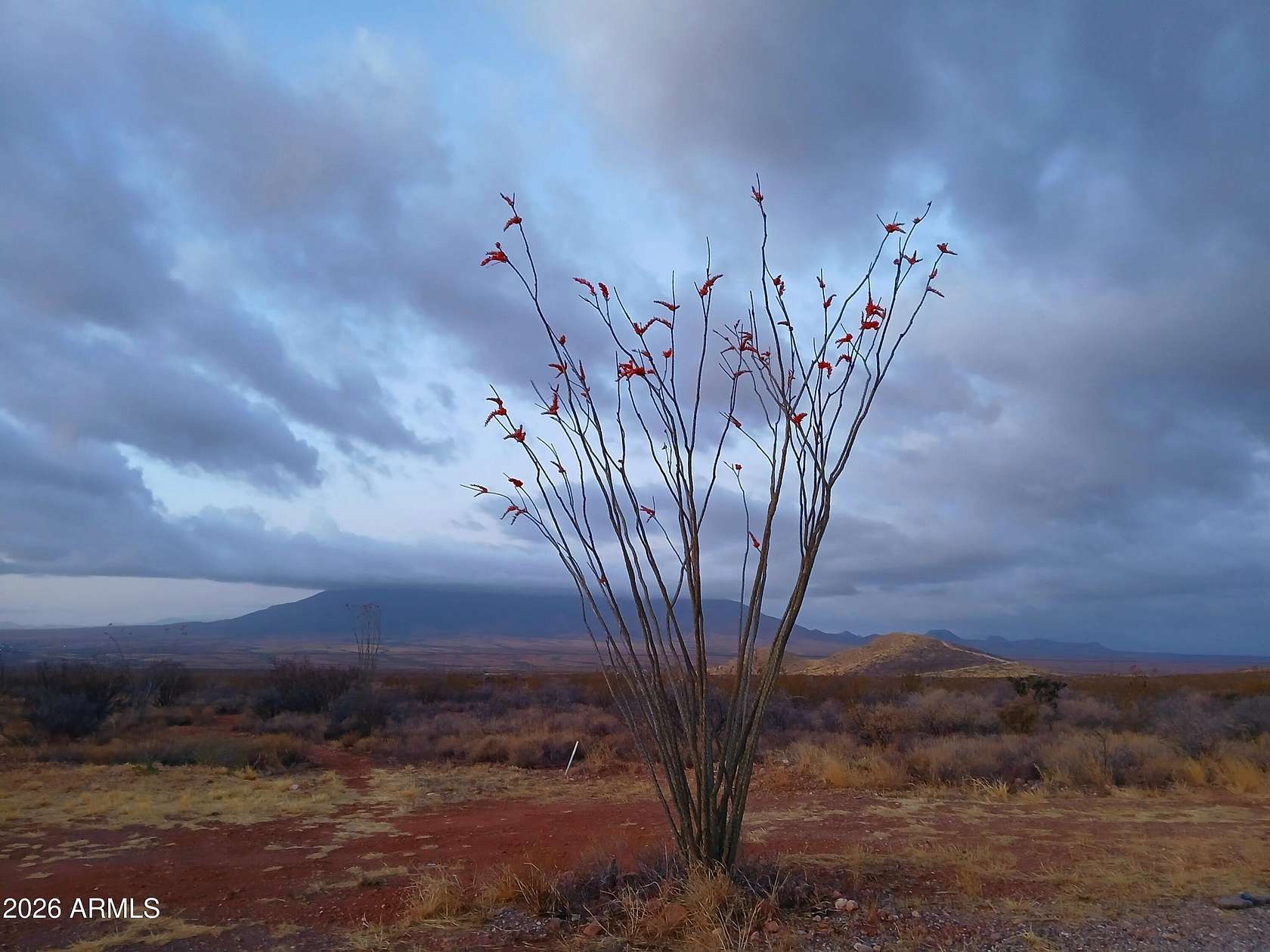 8.17 Acres of Residential Land with Home for Sale in Bisbee, Arizona