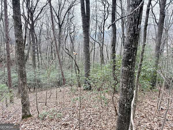 1.72 Acres of Residential Land for Sale in Clayton, Georgia