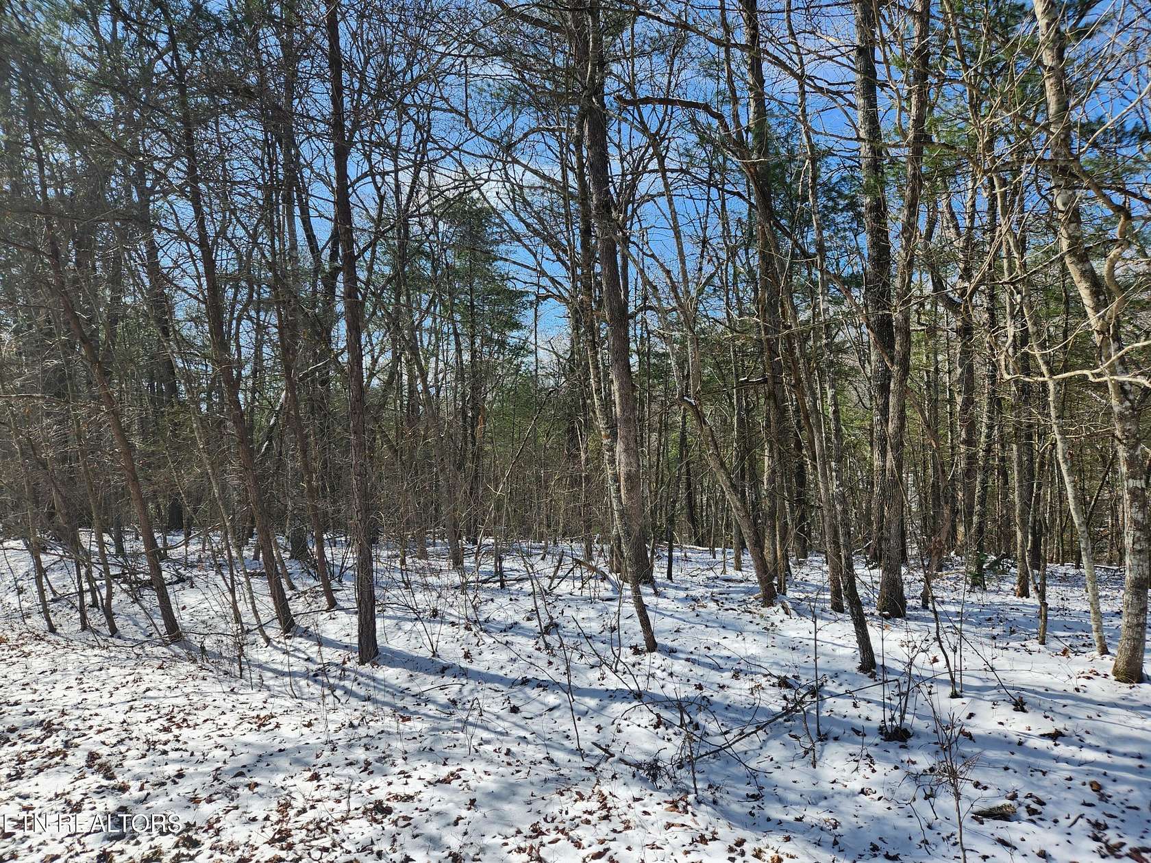 0.25 Acres of Land for Sale in Crossville, Tennessee