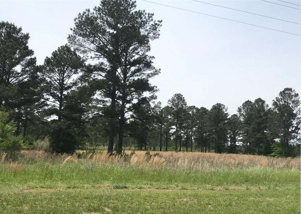 5.19 Acres of Residential Land for Sale in Leesburg, Georgia