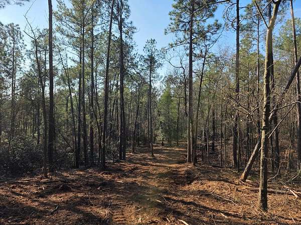 22 Acres of Recreational & Residential Land for Sale in Beech Island, South Carolina