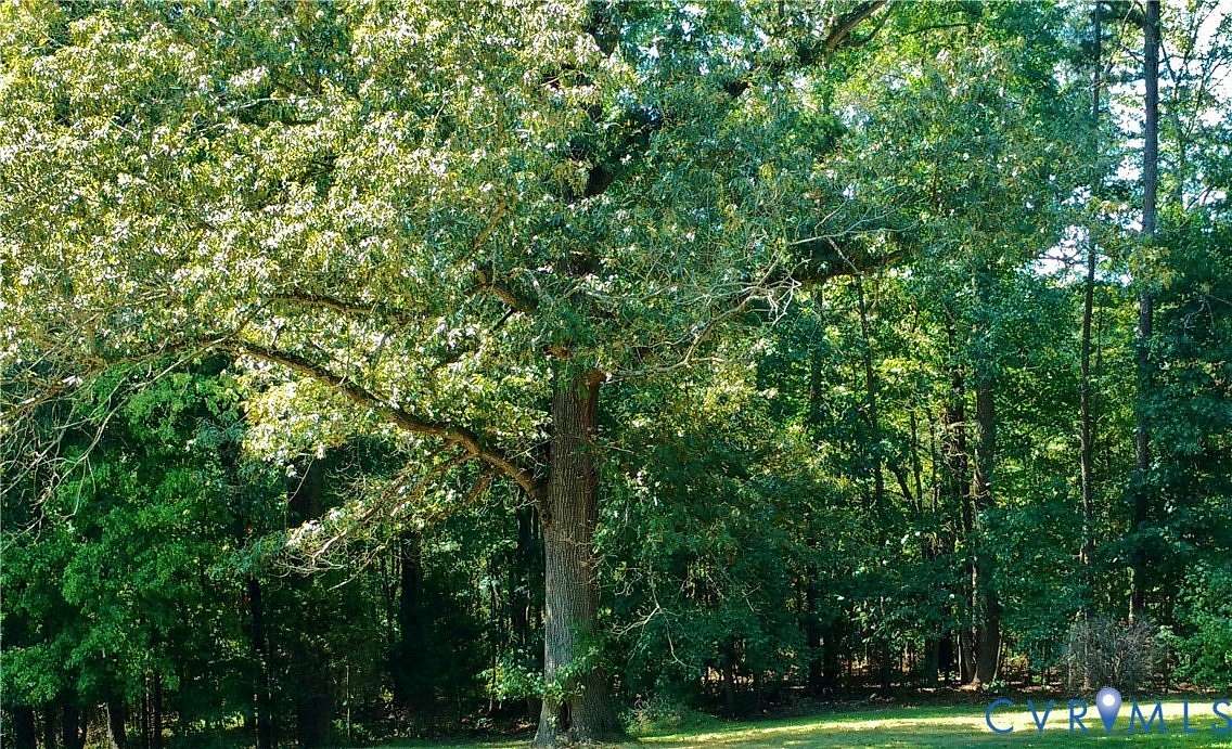 8.47 Acres of Land for Sale in Jetersville, Virginia