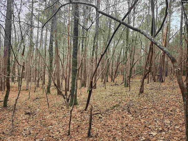 13.8 Acres of Land for Sale in Ridgeway, South Carolina