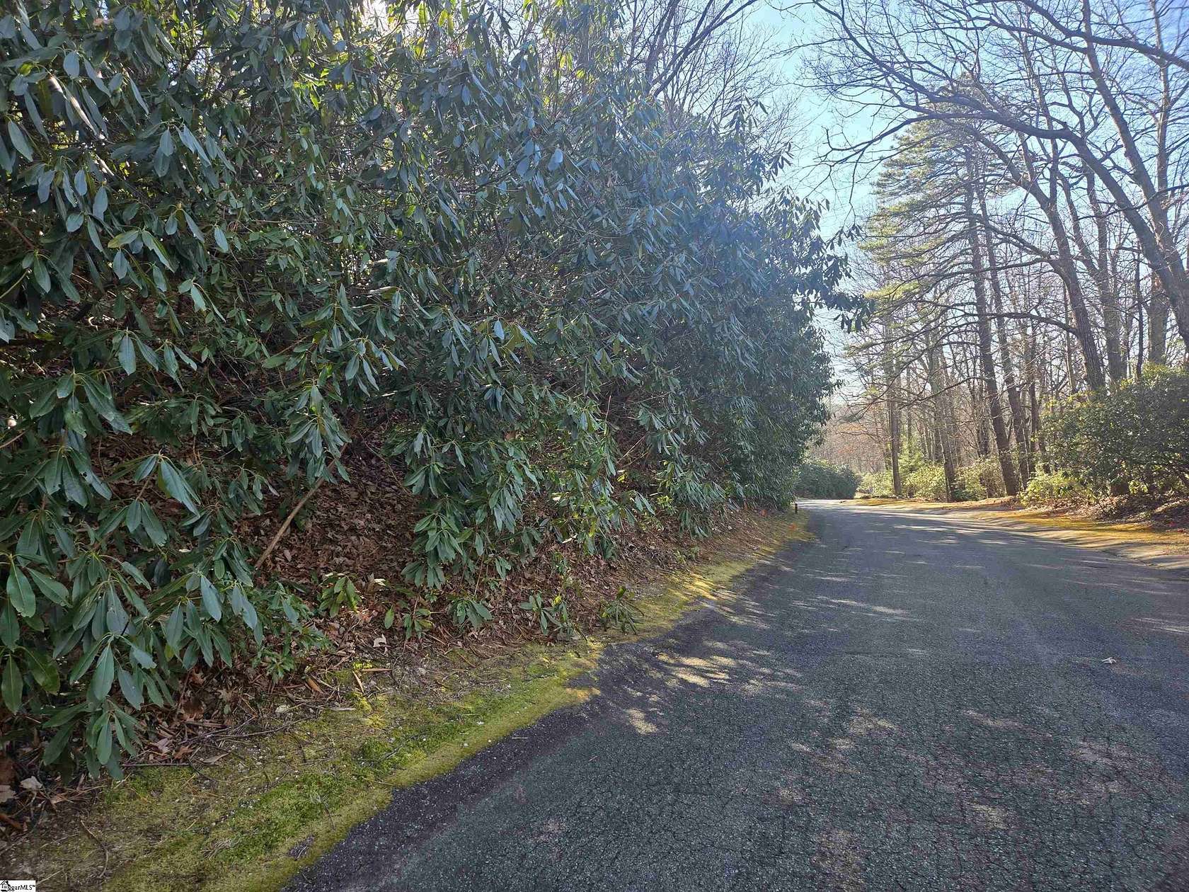 0.74 Acres of Residential Land for Sale in Cleveland, South Carolina
