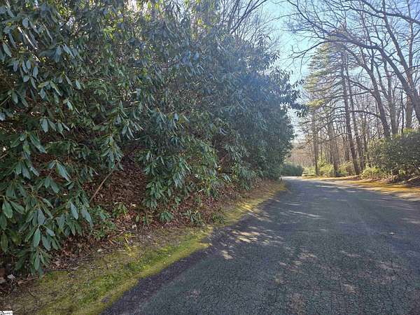 0.74 Acres of Residential Land for Sale in Cleveland, South Carolina
