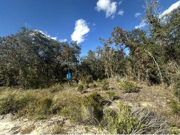 0.24 Acres of Land for Sale in Bronson, Florida