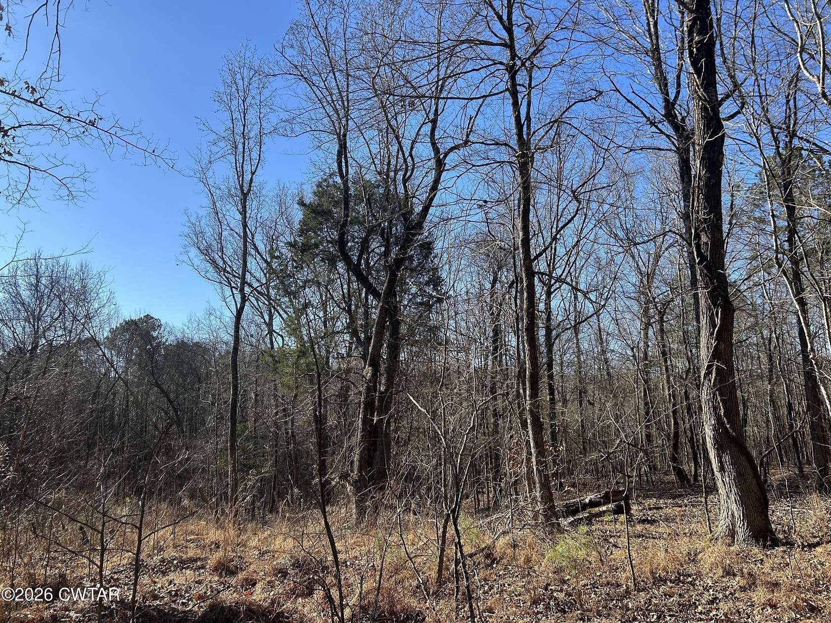 22.8 Acres of Recreational Land for Sale in Jackson, Tennessee