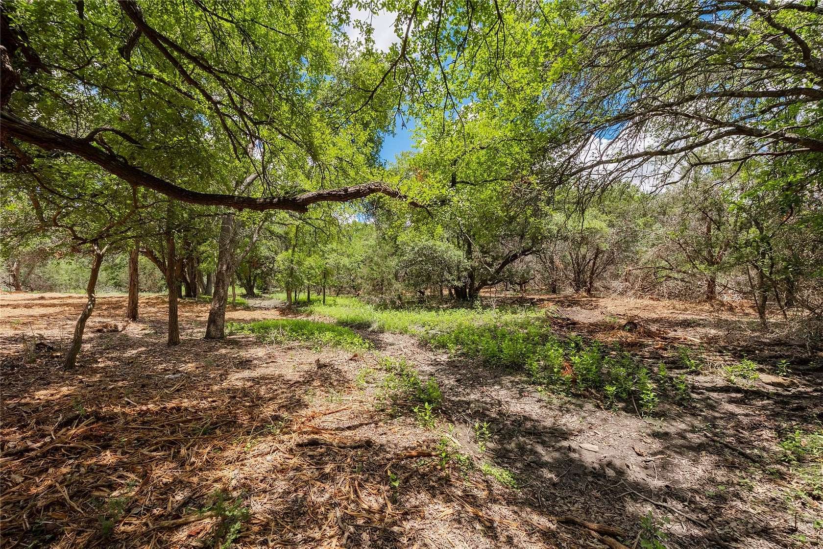 5.25 Acres of Residential Land for Sale in Georgetown, Texas