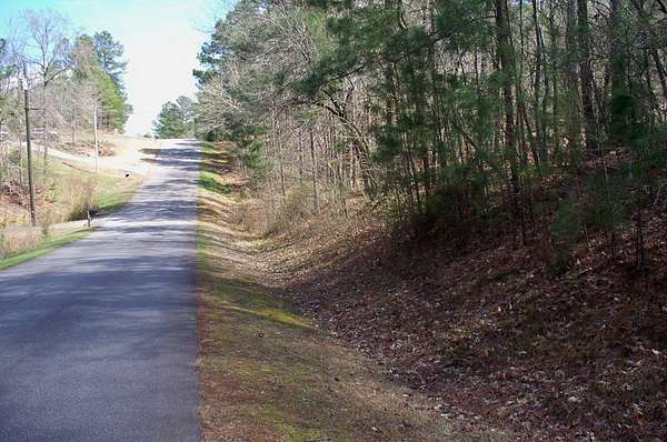 1.3 Acres of Residential Land for Sale in Greensboro, Georgia