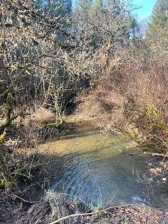 5.8 Acres of Land for Sale in Selma, Oregon