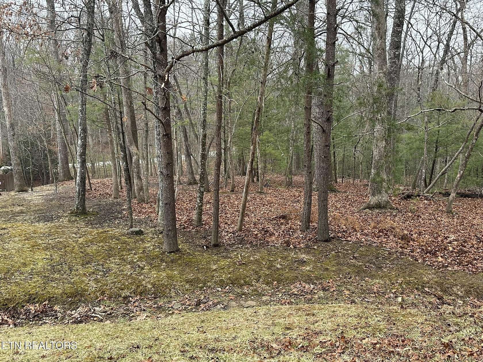 0.71 Acres of Residential Land for Sale in Fairfield Glade, Tennessee