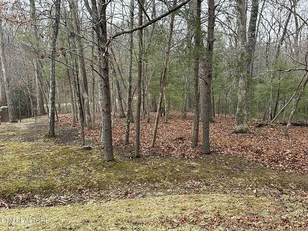 0.71 Acres of Residential Land for Sale in Fairfield Glade, Tennessee