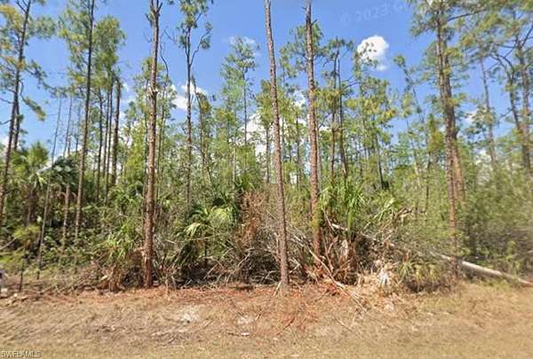 1.14 Acres of Commercial Land for Sale in Naples, Florida