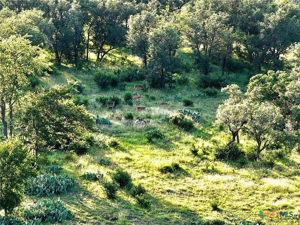 15 Acres of Land for Sale in Briggs, Texas