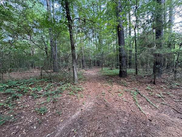 51 Acres of Mixed-Use Land for Sale in Flint, Texas