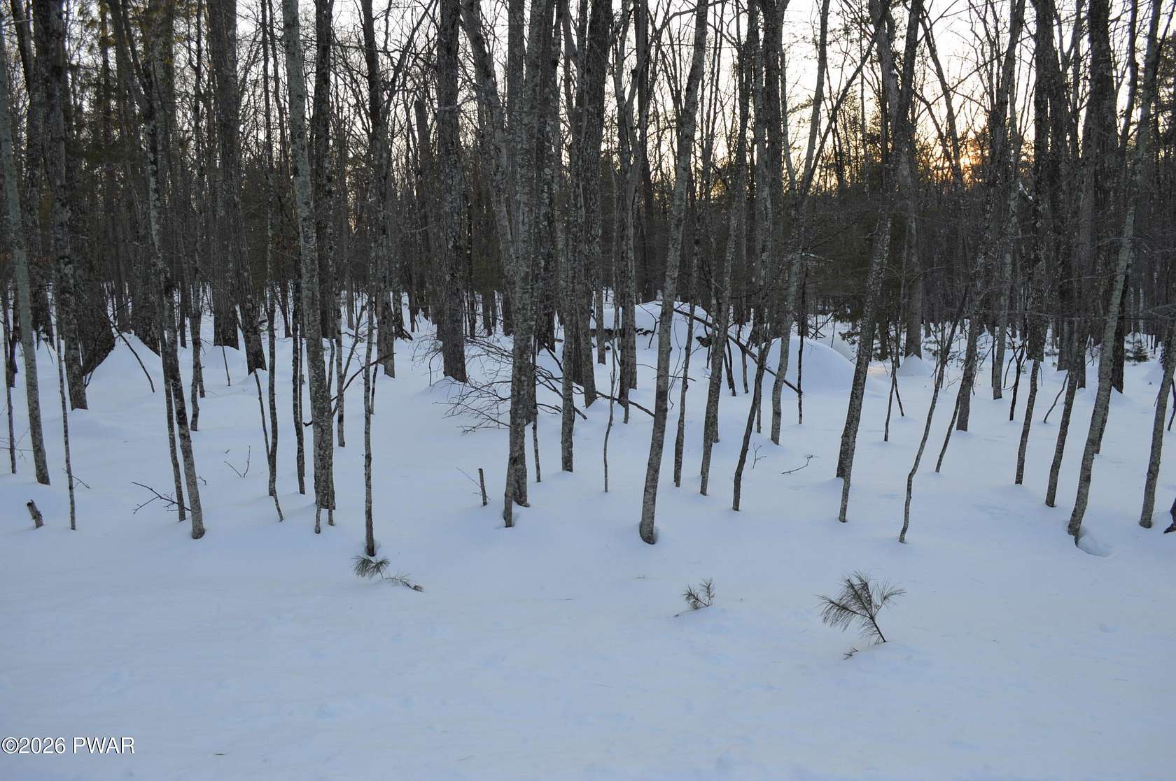 3.33 Acres of Residential Land for Sale in Lakeville, Pennsylvania