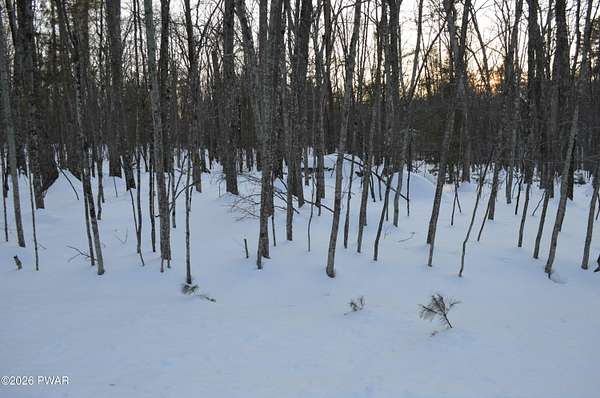 3.33 Acres of Residential Land for Sale in Lakeville, Pennsylvania