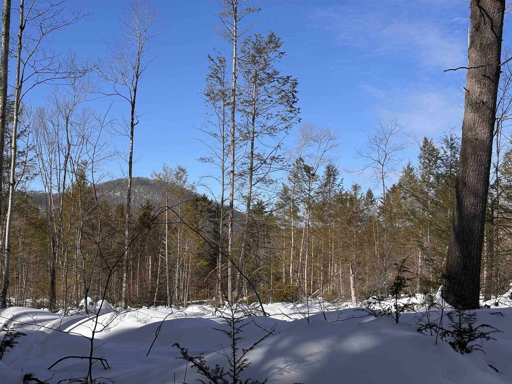 10.6 Acres of Land for Sale in Richmond, New Hampshire