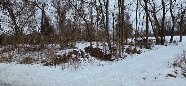 1 Acre of Residential Land for Sale in Bellaire, Ohio