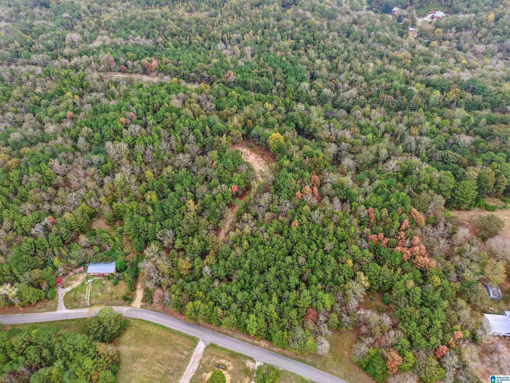 20.2 Acres of Recreational Land for Sale in Bessemer, Alabama