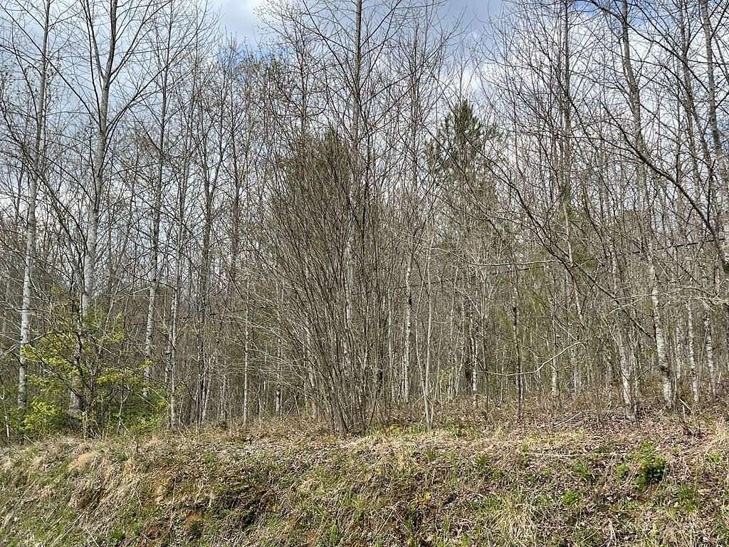 12 Acres of Land for Sale in Hayesville, North Carolina