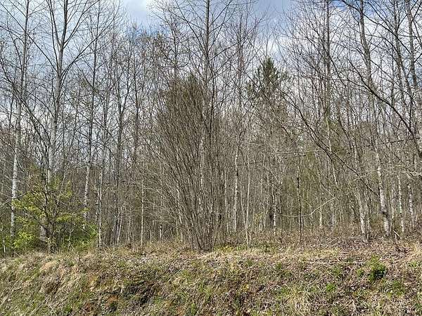 12 Acres of Land for Sale in Hayesville, North Carolina