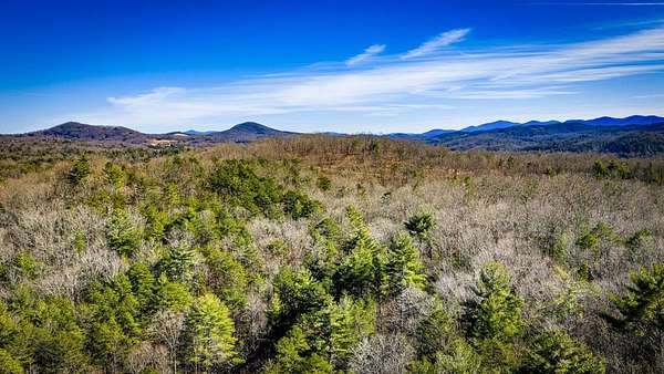 32.3 Acres of Land for Sale in Morganton, Georgia