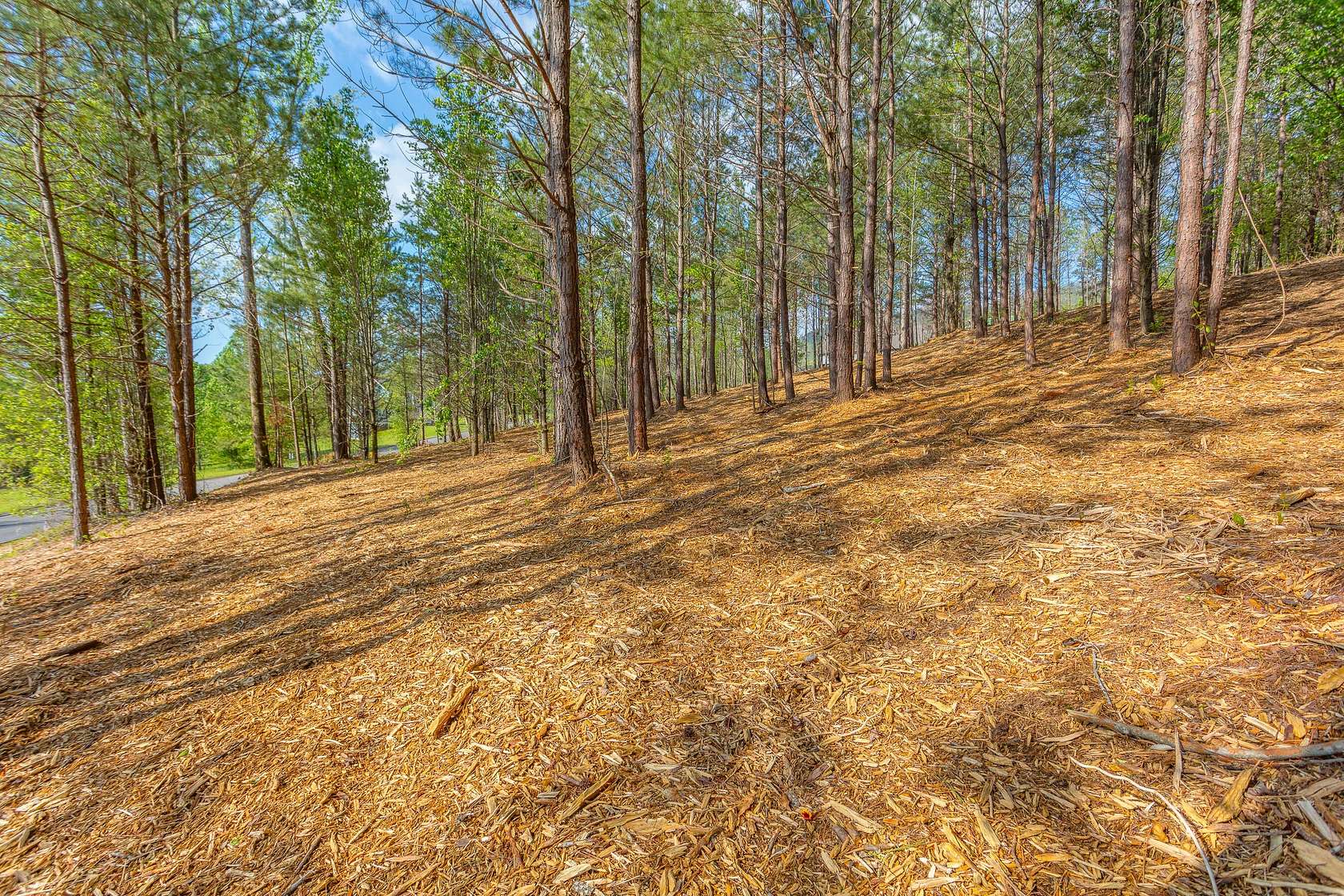 1.12 Acres of Residential Land for Sale in Flintstone, Georgia