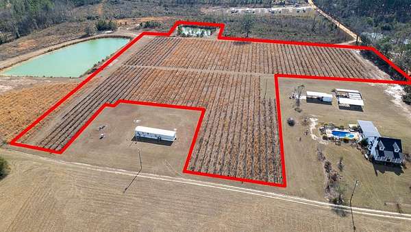 Land for Sale in Baxley, Georgia