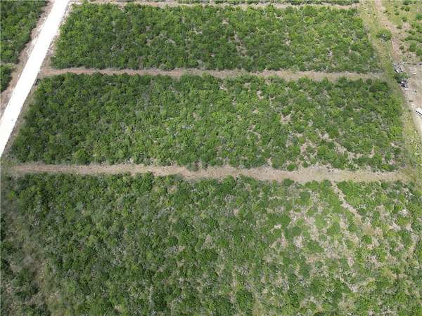 5 Acres of Land for Sale in Skidmore, Texas