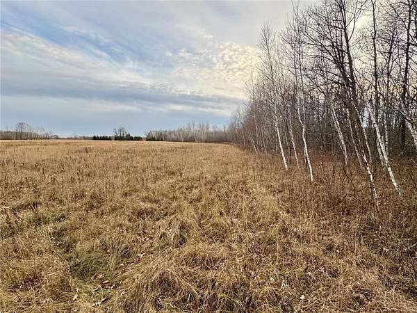 37.8 Acres of Land for Sale in Ogilvie, Minnesota