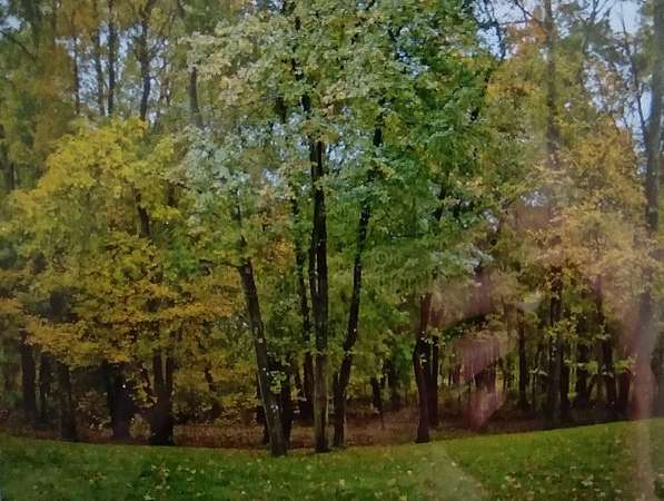 6 Acres of Residential Land for Sale in Corning, New York