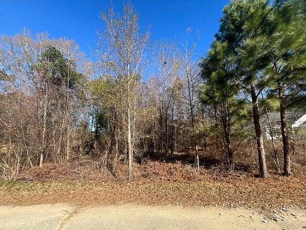 0.48 Acres of Residential Land for Sale in Summerton, South Carolina