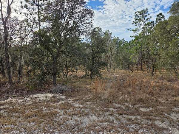 1 Acre of Residential Land for Sale in Dunnellon, Florida