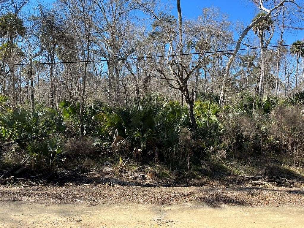 1 Acre of Land for Sale in Steinhatchee, Florida