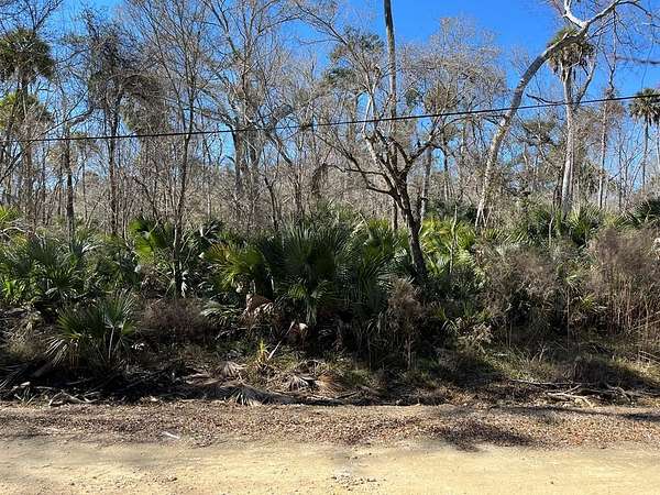 1 Acre of Land for Sale in Steinhatchee, Florida