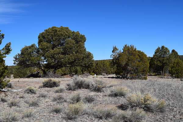 18 Acres of Recreational Land for Sale in Pie Town, New Mexico