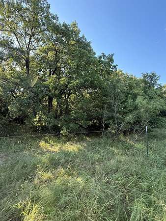 23.6 Acres of Land for Sale in Bowie, Texas