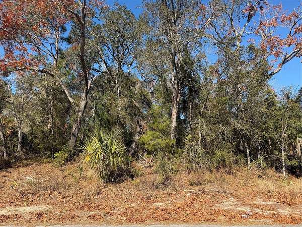 0.32 Acres of Residential Land for Sale in Spring Hill, Florida