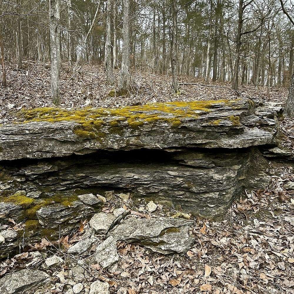 45.7 Acres of Recreational & Residential Land for Sale in Ash Flat, Arkansas