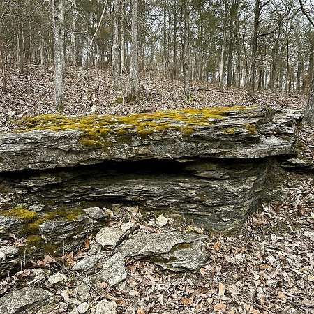45.7 Acres of Recreational & Residential Land for Sale in Ash Flat, Arkansas