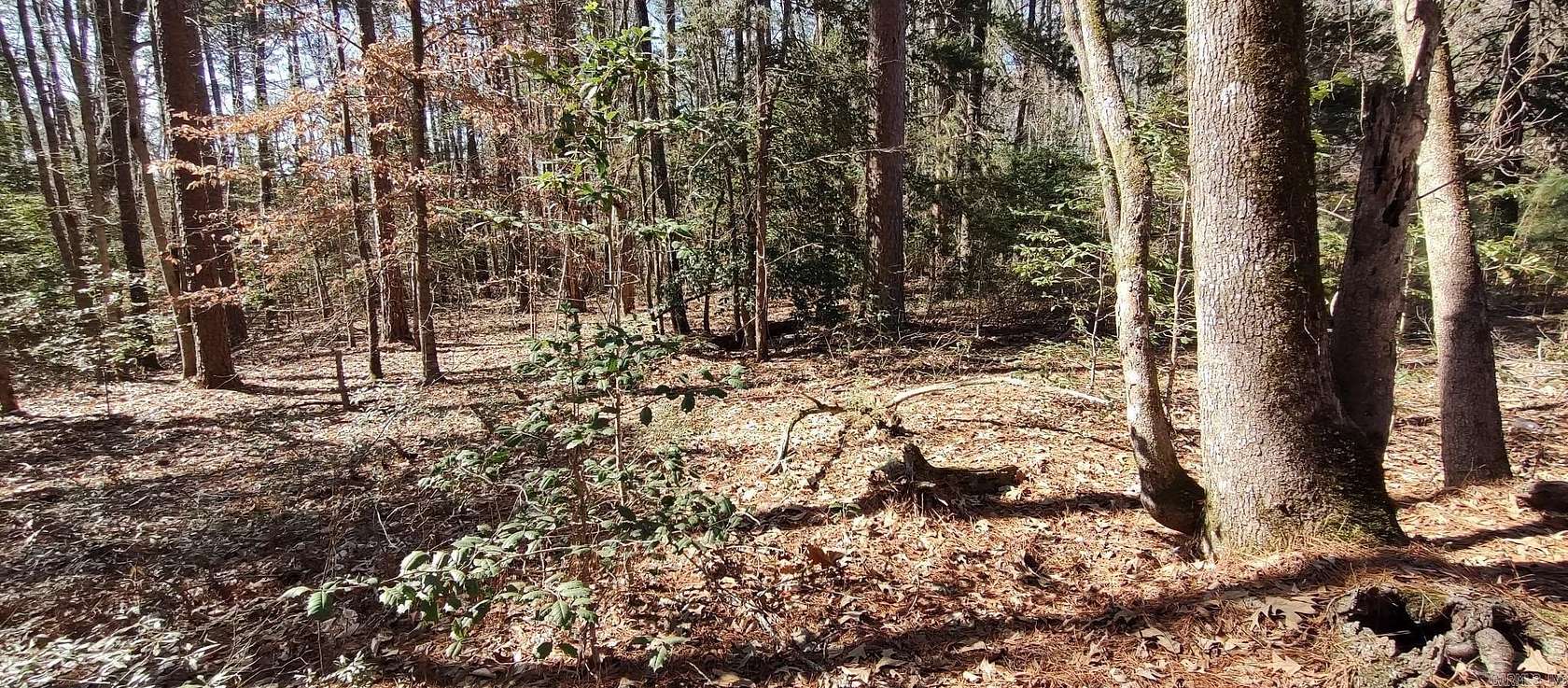 12 Acres of Recreational Land for Sale in Chidester, Arkansas