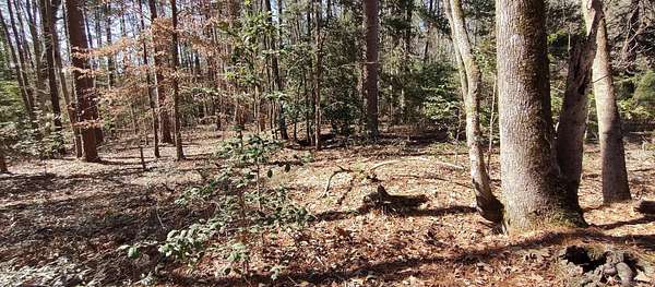 12 Acres of Recreational Land for Sale in Chidester, Arkansas