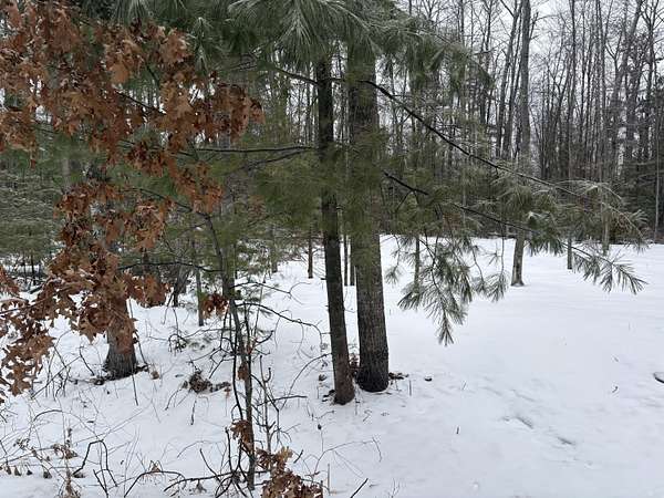 1.19 Acres of Residential Land for Sale in Atlanta, Michigan