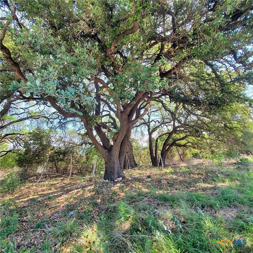 15.2 Acres of Commercial Land for Sale in Kempner, Texas