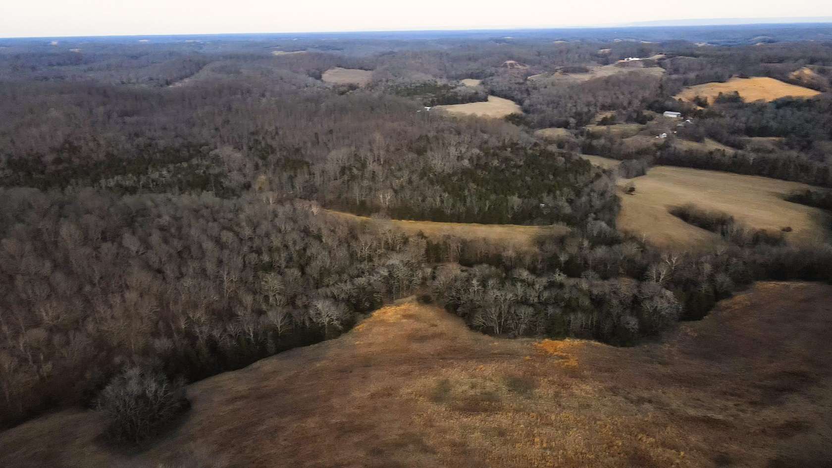 120 Acres of Land for Sale in Belvidere, Tennessee